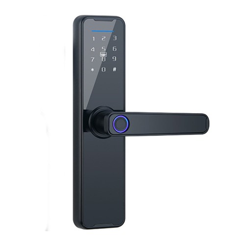 Electronic smart door - electronic,